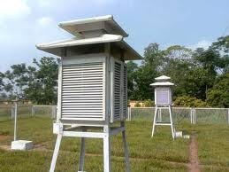 ຫວຽດນາມ ຕອບສະຫນອງ ວັນແຫ່ງອຸຕຸນິຍົມໂລກ - ảnh 1
